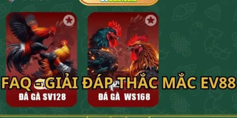 Chuyên mục giải đáp EV88