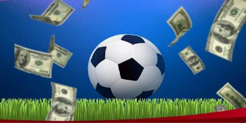 Thể thao nơi diễn ra các giải đấu lớn